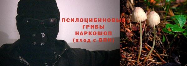 твердый Алексеевка