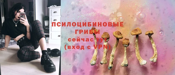 герыч Алексин